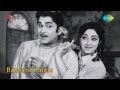 Bangaru Kalalu Chekkili Meeda Song