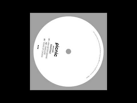 Martinez - Any Better Means (PICNIC001)