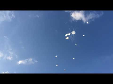 6" Report Multi-Break - 1019