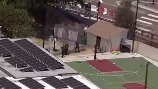 San Diego'da İslami merkezi çembere alan polis havadan görüntülendi
