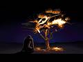 We Need to Talk about Blood Meridian.
