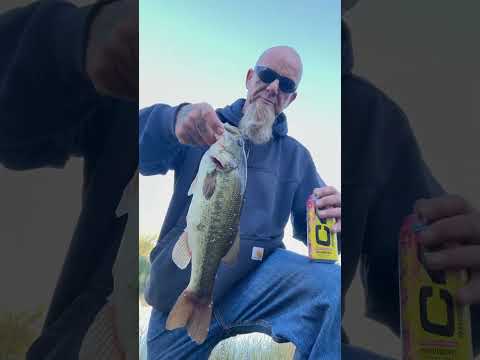 Caught These Phat Ass Bass 🐈💋💨 On The First Cast With A Buzz Bait, Hell Ya👊🏻 🔥Nigga😤What🔥