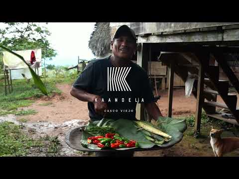 KAANDELA | Bocas del Toro – Third Culinary Expedition - Tercera Expedición  | Official Trailer