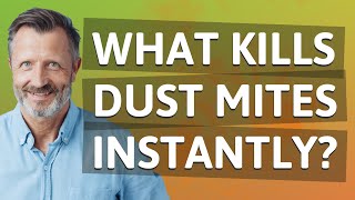 What kills dust mites instantly?