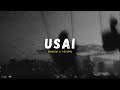 Usai Tiara Andini Slowed Reverb