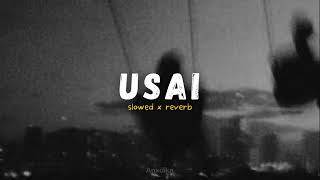 Download lagu usai // tiara andini (slowed reverb) mp3 Download lagu usai // tiara andini (slowed reverb) mp3