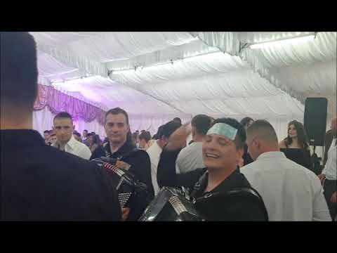 Orkestar Darka Antica "LAVOVI" veselje kod Miroljuba Jeftica,Trnava