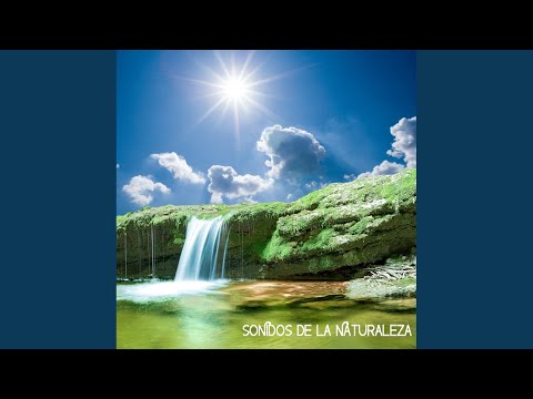 Angelic Chant 2 - New Age Music