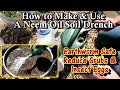 How to MAKE & APPLY a Neem Oil Soil Drench: Reduce Grubs, Eggs, Mites, Soft Bodied Insect, and More!