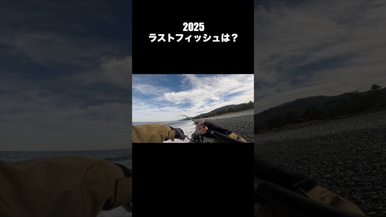 25年は◯◯シがたくさん釣れた年🎣