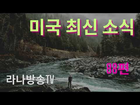 [라나회장]미국 현지 최신 인텔 88편 /2025년 11월 9일