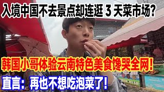 入境中国不去景点却连逛3天菜市场？韩国小哥体验云南特色美食馋哭全网！直言：再也不想吃泡菜了！#旅游 #景區 #旅行 #真实的中国 #travel #中國 #環遊世界