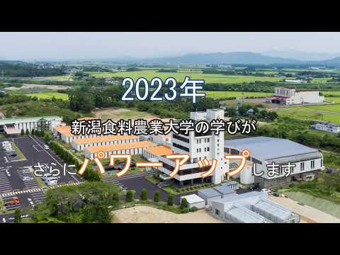 2023　新カリキュラムのポイント
