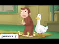 Duck Helper Curious George Kids Cartoon Kids Movies Videos For Kids