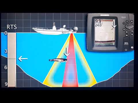 Interprétation des poissons dans l'écran du sondeur Explications Xavier Vella