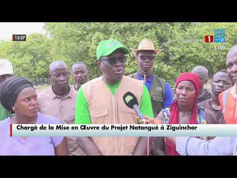 LE JT 13H DES REGIONS - JEUDI 16 JUILLET 2O26