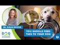 The Best And Worst Foods For Dog Cancer Dr Susan Recker Video Cut