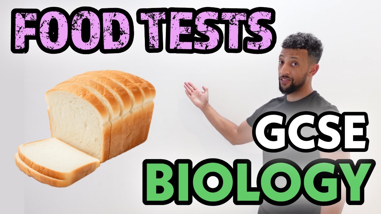 GCSE Biology - Food Test Rap
