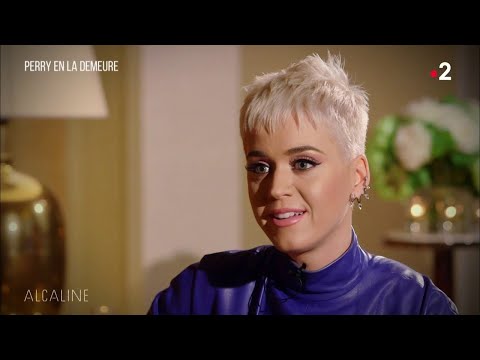 Alcaline, Le Sujet du 28/05 - Perry en la demeure