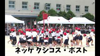 Download lagu ネッケ クシコス・ポスト mp3