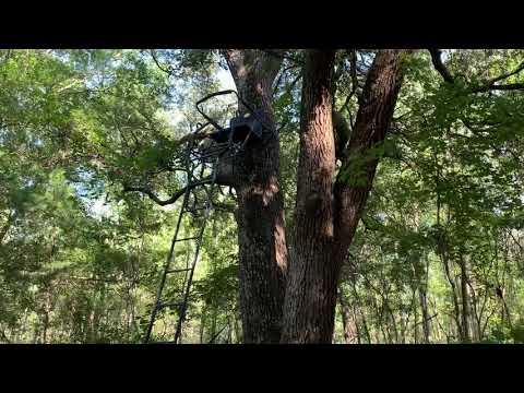 Hawk Big Denali 20 ft 1.5 Man Ladder Stand