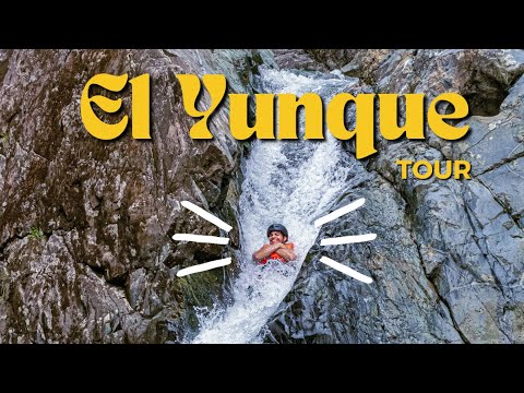 El Yunque Tour - The most AMAZING adventure in Puerto Rico