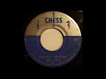 Muddy Waters - Diamonds At Your Feet - cadlagh1 Bill Kealy Muddy Waters - Diamonds At Your Feet