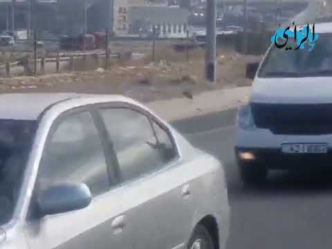 الاردن يسير الجزء الثاني من قوافل المساعدات لـ قطاع غزة