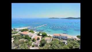 Petru Guelfucci - Veranu Neru