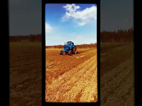 Культиватор для чеснока. Вносим КАС.