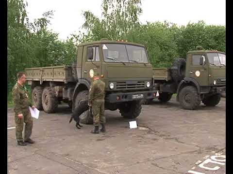 Ежегодные соревнования среди кинологических служб Черноземья стартовали в Курчатове
