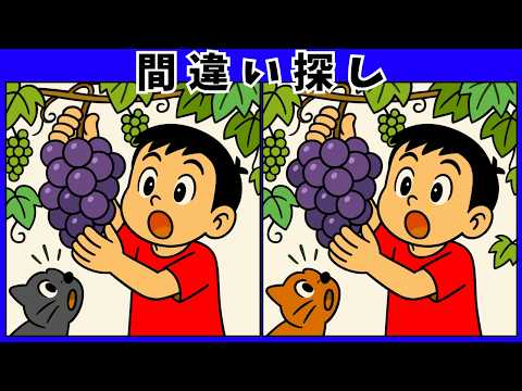 秋の風景の間違い探し動画 - タップで再生