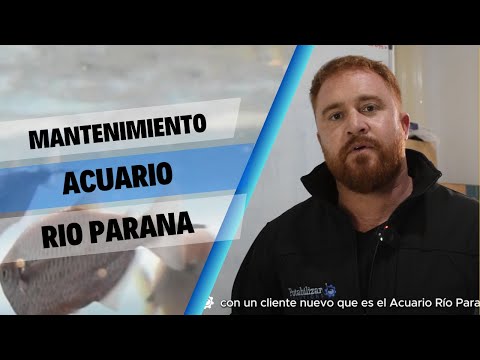 4 videos de mantenimiento de chiller que tienes que ver si quieres reparar tus equipos