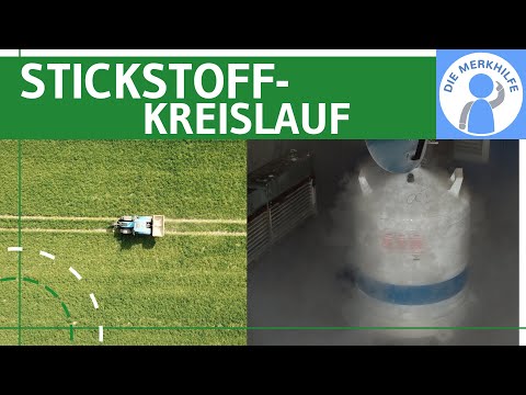 Nitrogen Cycle - Element Nitrogen, Occurrence, Forms, Processes & Cycle Explained - Ecology