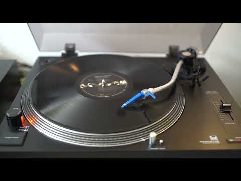 Temple Of The Dogs - Hunger Strike - vinyl