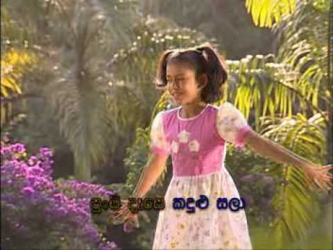 download lagu mp3 mp4 Punchi Doni Tharaha Wela Mp3, download lagu Punchi Doni Tharaha Wela Mp3 gratis, unduh video klip Punchi Doni Tharaha Wela Mp3