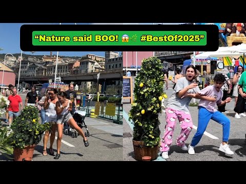 Bushman prank: “2025 Bushman Prank: Fear ➝ Shock ➝ Laughter 😭😂”