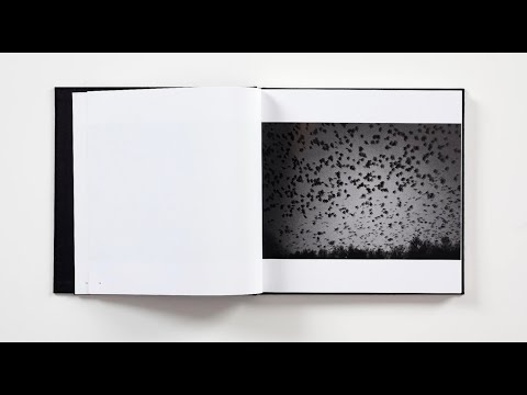 Das Fotobuch-Quartett: \"Ravens\" von Masahisa Fukase