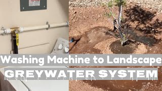 Washing Machine to Landscape Grey Water System
