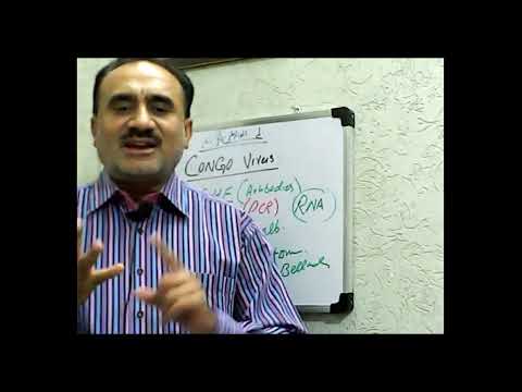 Blood Test for Congo Virus  ( CCHF-PCR)