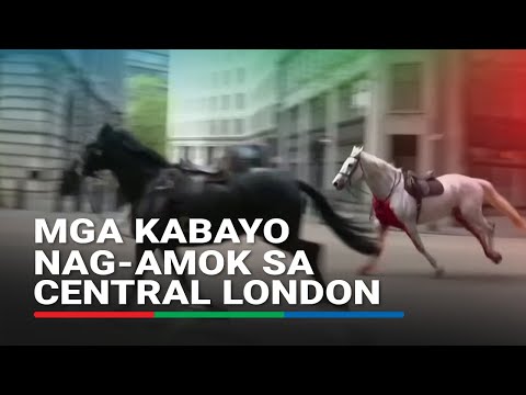 Mga kabayong militar nag-amok sa central London, 4 katao sugatan