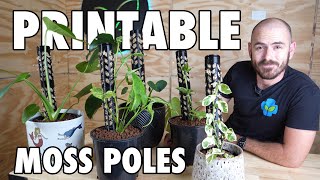 3D Printable Modular Moss Pole for Climbing Plants