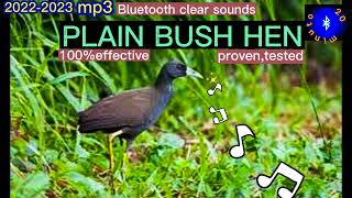 Download lagu PLAIN BUSH HEN SOUND 20 MINS FULL PACKAGE// HUNI NG TIKLING NA WALANG BATIK #20minuto mp3 Download lagu PLAIN BUSH HEN SOUND 20 MINS FULL PACKAGE// HUNI NG TIKLING NA WALANG BATIK #20minuto mp3