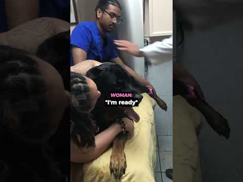She Gave Her Dog One Last Perfect Day 🥹