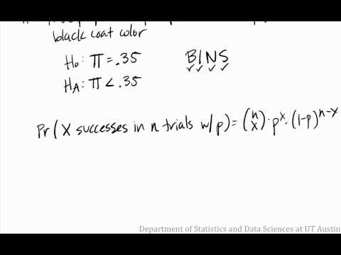 In this video, a binomial test is run to see if the proportion of leopards with a solid black coat color equals 0.35.