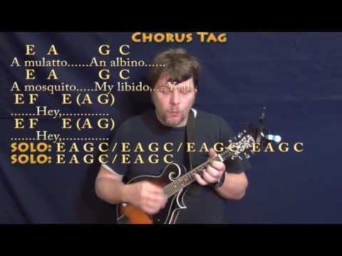 Smells Like Teen Spirit (Nirvana) Mandolin Cover Lesson in E with Chords/Lyrics