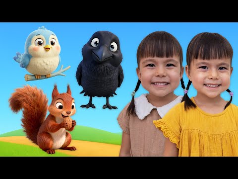Twin Twin Learn Safety Rules with Wild Animals and Help Hungry Birds in the Nature Park