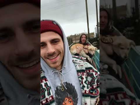 Sowas wie n VLOG #5 | Franzi fliegt, Olli & Klaas sind im Fernsehen. Ich eingesperrt aufm Hausboot