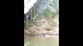 Kourtney Lynne scared of the water slide.