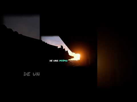 Vídeo: Zen: significado e sentido no dia a dia